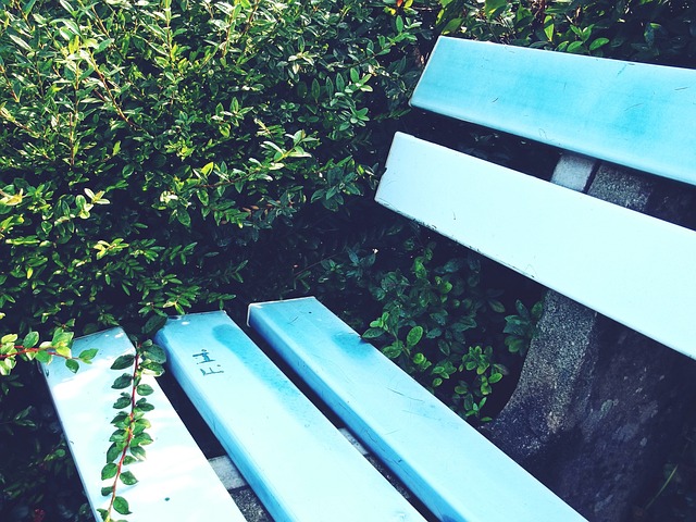 算机预测的 算机预测的