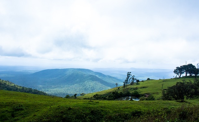 仅让这支球 仅让这支球