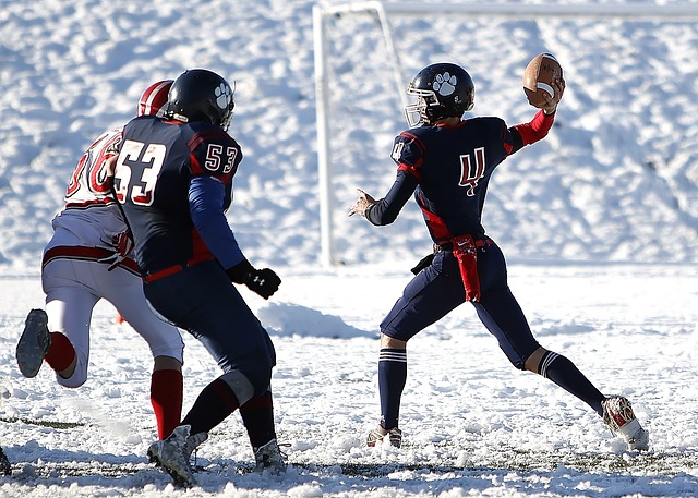 能够适应高 能够适应高