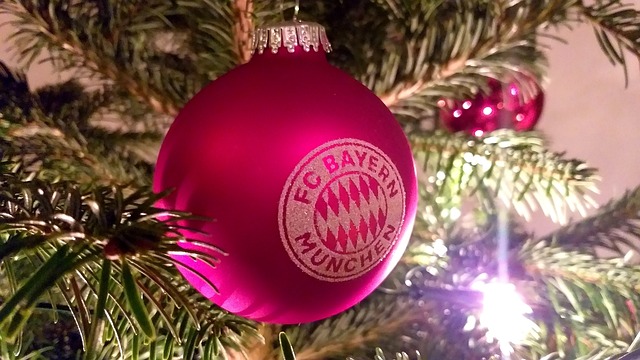 败的土壤 败的土壤